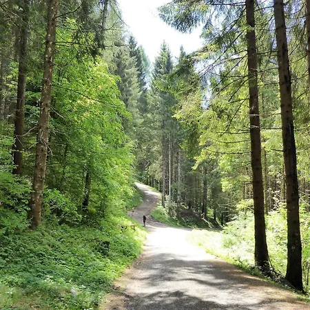 Casa vacanze Mountain Hideaway For Four *